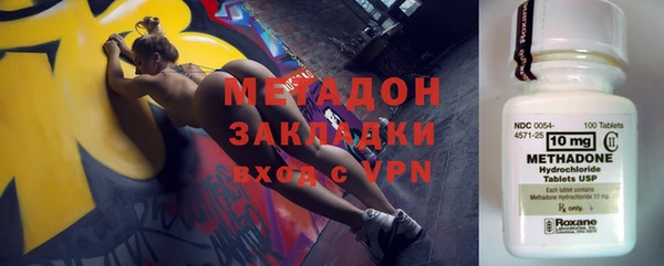индика Няндома