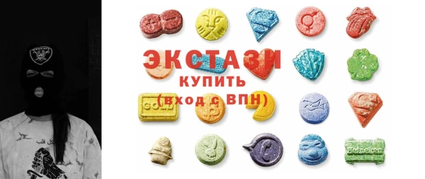 индика Няндома