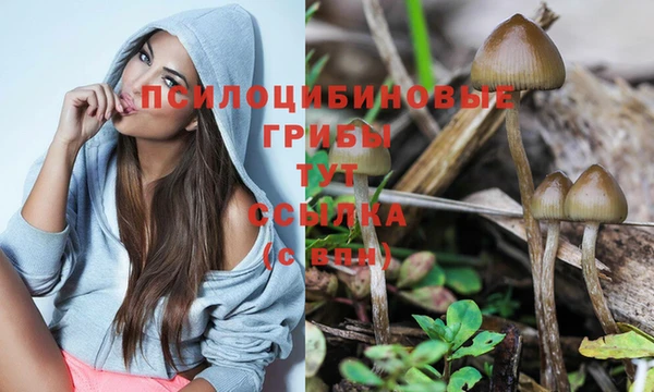 ГАЛЛЮЦИНОГЕННЫЕ ГРИБЫ Абинск