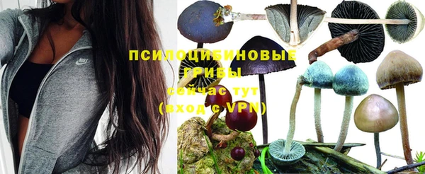 мяу мяу мука Алексин