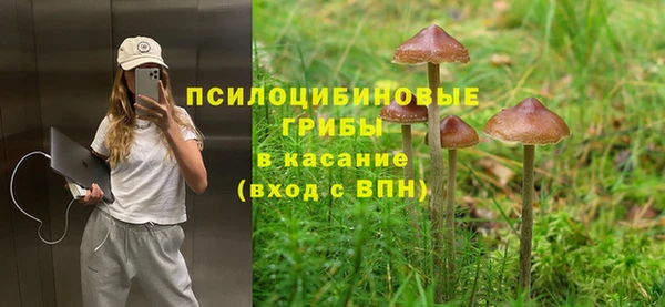 скорость Абаза